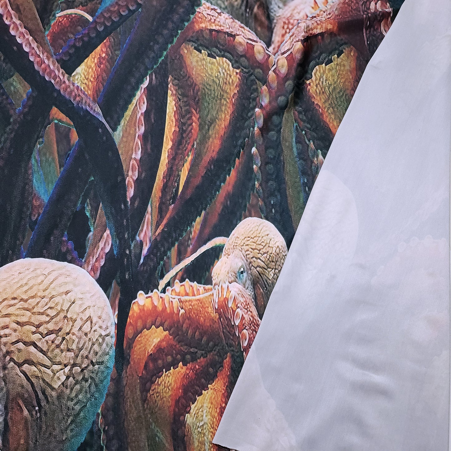 Jumbo Octopus Print 4-Way Stretch Poly Spandex Fabric – Bold Ocean Design