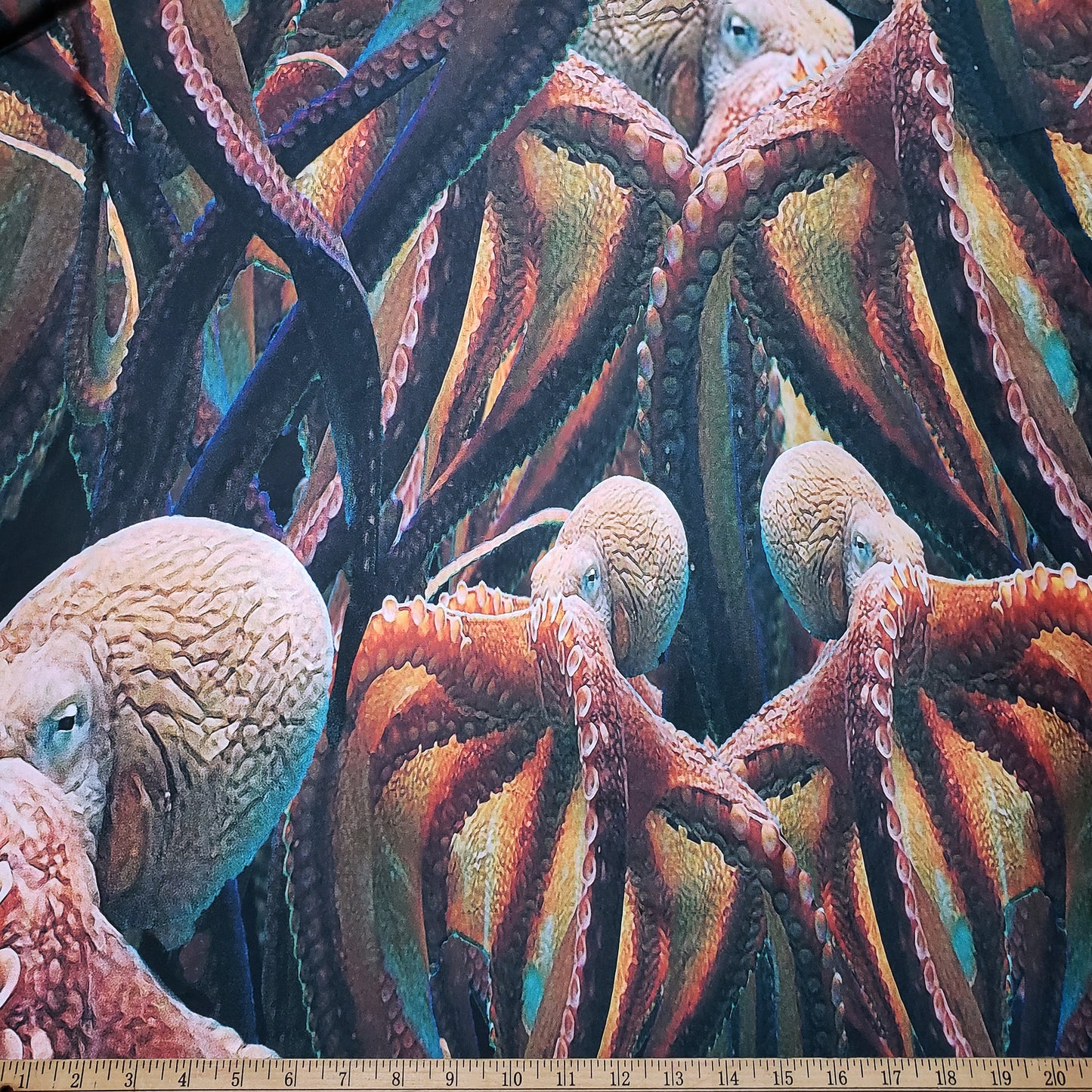 Jumbo Octopus Print 4-Way Stretch Poly Spandex Fabric – Bold Ocean Design