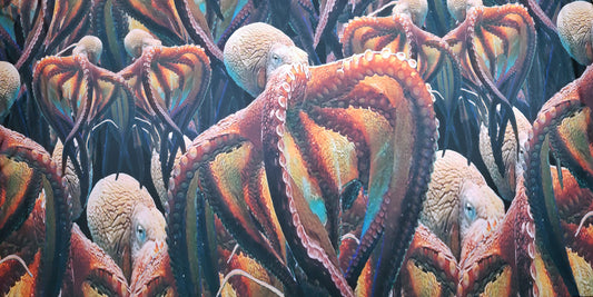 Jumbo Octopus Print 4-Way Stretch Poly Spandex Fabric – Bold Ocean Design